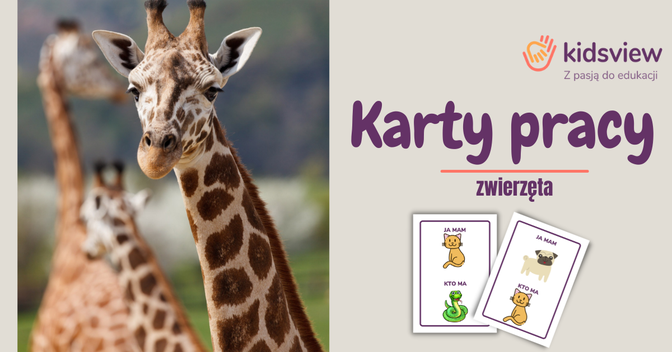 Główny obrazek do Karty pracy - zwierzęta